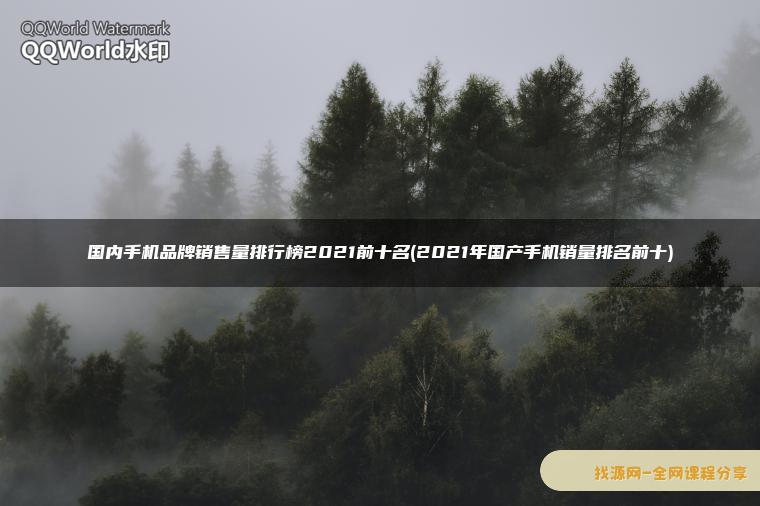 國內(nèi)手機(jī)品牌銷售量排行榜2021前十名(2021年國產(chǎn)手機(jī)銷量排名前十)