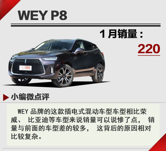 10萬以內是主戰(zhàn)場 2019年1月新能源汽車銷量點評