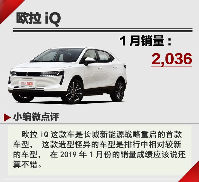 10萬以內是主戰(zhàn)場 2019年1月新能源汽車銷量點評