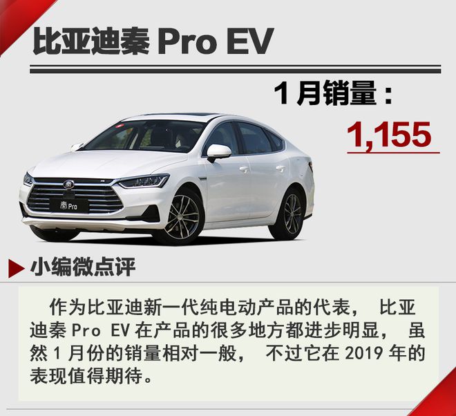 10萬以內是主戰(zhàn)場 2019年1月新能源汽車銷量點評