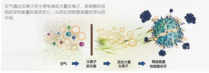 深圳 電動單車 上牌_電動游覽車上牌價格_2022新電動車上牌多少錢