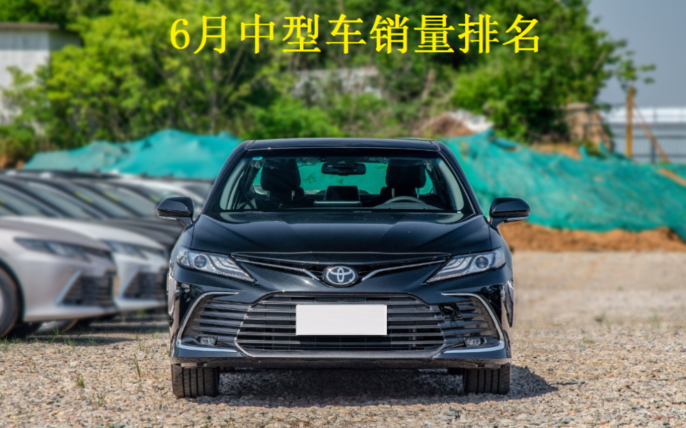 緊湊車(chē)型銷(xiāo)量排行2017_北美豪華車(chē)型銷(xiāo)量排行_中型車(chē)型銷(xiāo)量排行榜