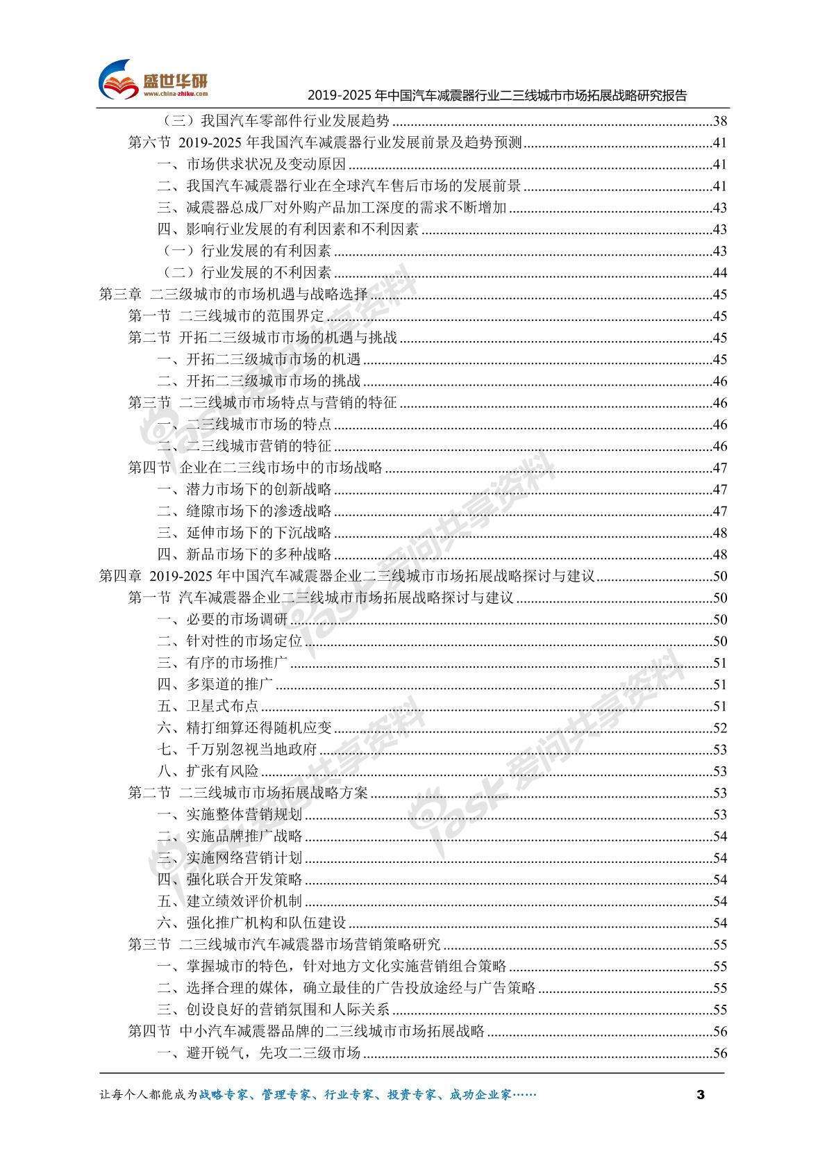 【完整版】2019-2025年中國汽車減震器行業(yè)二三線城市市場拓展策略研究報告圖片2