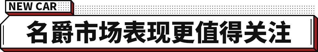 福特新款新款汽車(chē)_白光燈出入口照車(chē)牌攝像機(jī)_新款汽車(chē)車(chē)牌照