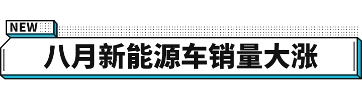 汽車排行榜銷量排行是假的嗎,幾十萬的車那么多人買_緊湊型車銷量排行_國產(chǎn)b級車銷量排行