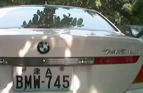 汽車黑牌照是什么意思_新款牌照螺絲怎么裝_新款汽車牌照是真的嗎