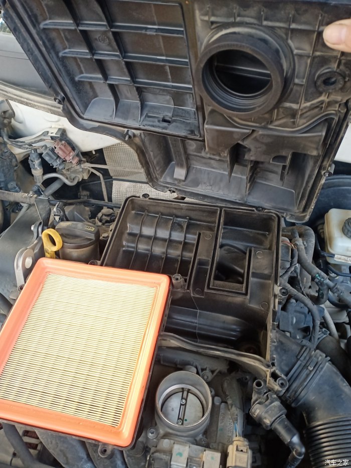 汽車空氣過濾器的更換_過濾空氣鼻塞_過濾自救器是過濾什么氣體