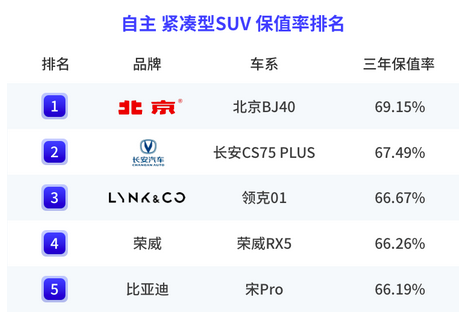 自主品牌可靠性排名_中大suv保值率排行榜前十名_自主品牌suv排名