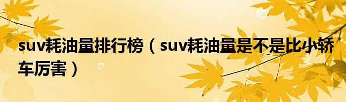 耗油量排名前十品牌汽車_suv燃油車油耗排行榜_轎車耗油量排名